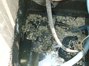 汙水管內清出皂化油塊